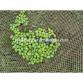 дешевые пластиковые оливковый урожай сетка,фрукты урожай чистый завод